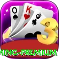 55ac - Gaming Premium